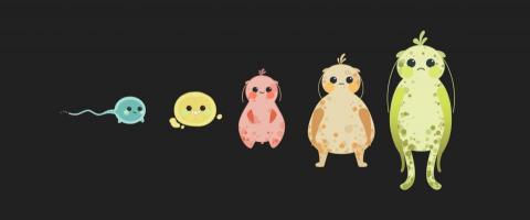 Keira Li 個人工作室 - 