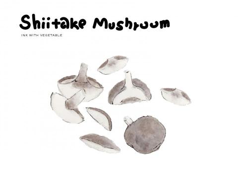 𖠁  宇宙 𖤍 少女 𖠁 - 食材˙素材