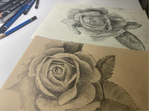 258-3space - 玫瑰花