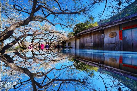 陳勝璿 - 專業風景攝影