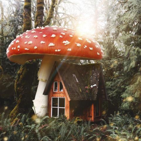 Cowei Chou - 影像合成