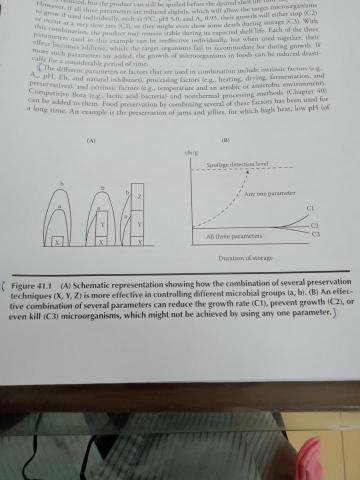 金蓓兒食品技術英語翻譯 - 结合使用數種不同参数達到有效降低微生物，延長食品保存效果