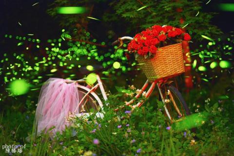 陳勝璿 - 專業風景攝影