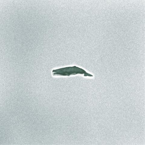 Yue Lee -  影片類私訊給連結供參考