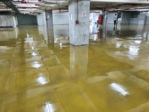 李致緯 - 停車場EPOXY施作