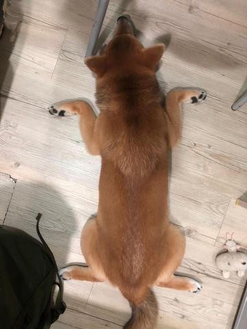 提供n1服務的專家王岑楓