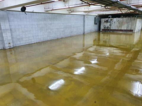 李致緯 - 停車場EPOXY施作