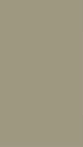 提供法文服務的專家葉栢