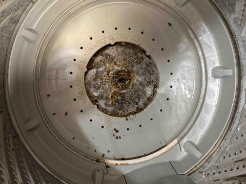 歐妮淨水 - 與毛小孩共享洗衣機