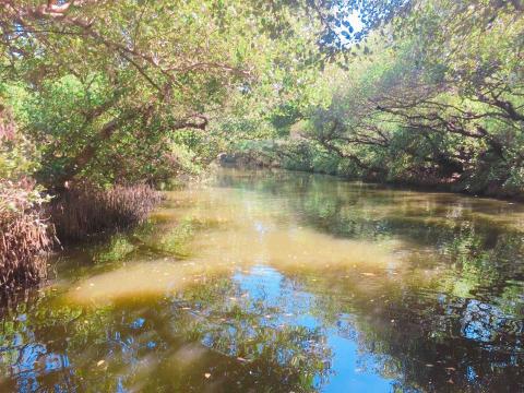 提供文案書服務的專家Amber