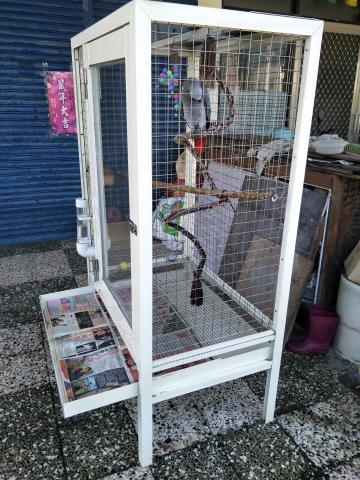 ◆虹捷★家庭鋁窗工作坊◆ - 全台獨一無二鳥籠-輕巧、時尚、美觀、顏色多樣  