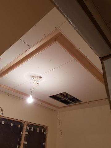 林汪工程行 - 照型天花板