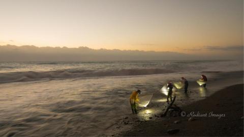 光點影像 - 活動：紀實