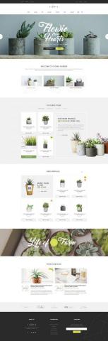 微笑客設計 Wexe Design  - 多肉植物 
品牌購物車網站
