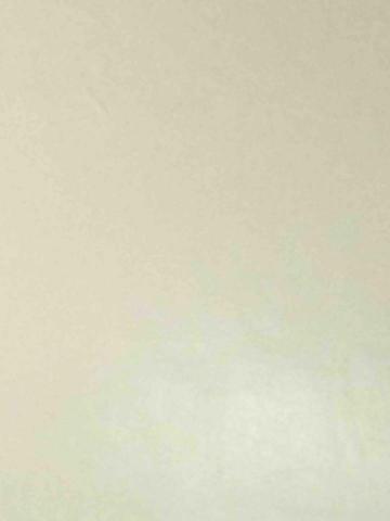 提供監視系統服務的專家專業人員