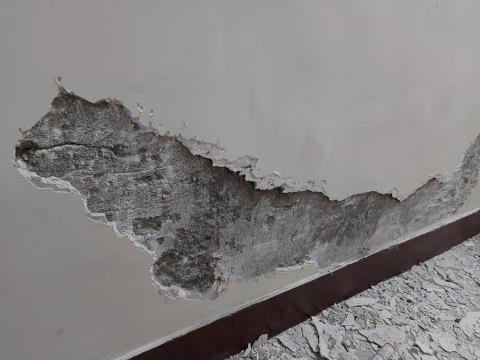 藍翊工程行 - 壁癌處理