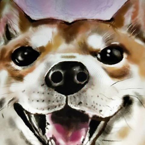 A   Song -小魔女的插畫館 - 寵物肖像畫 A   Song -小魔女的插畫館 - 寵物肖像畫