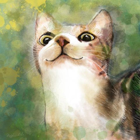 A   Song -小魔女的插畫館 - 寵物肖像畫 A   Song -小魔女的插畫館 - 寵物肖像畫