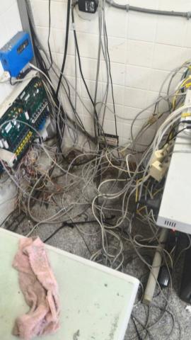 竑緯科技有限公司 - 