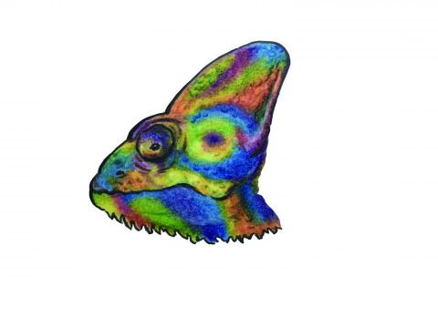 蕉點新創設計-Banacus Design - 色鉛筆插畫