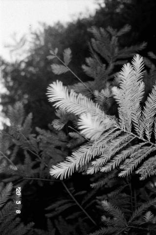 提供合一服務的專家英語教師