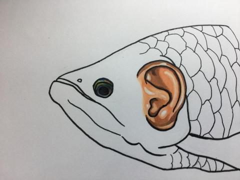 蕉點新創設計-Banacus Design - 麥克筆插畫