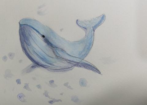 王儷庭 - 水性色鉛筆，手繪