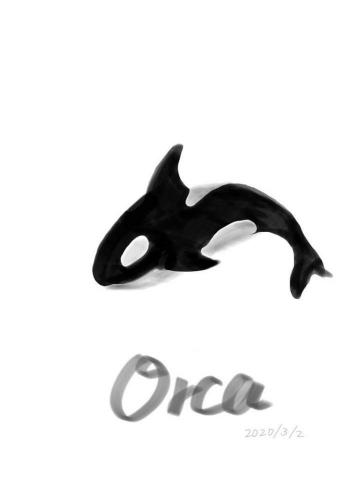 王儷庭 - 電繪，虎鯨