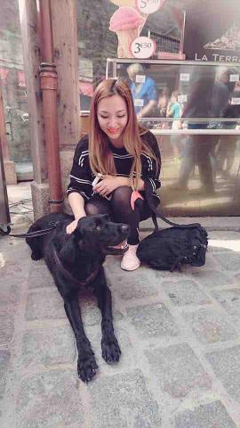 提供韓語服務的專家미아 Mia