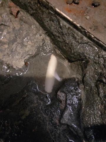 上禾防水工程 - 熱水管破裂