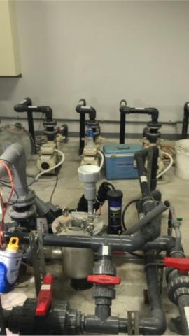 松楨有限公司 - 