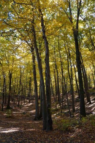 提供dji空拍服務的專家攝影No.1