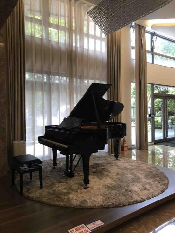 樂樂音樂 - 史坦威名鋼琴演奏