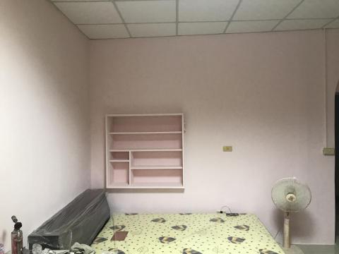 東秝國際有限公司 - 竹南室內壁癌粉刷處理