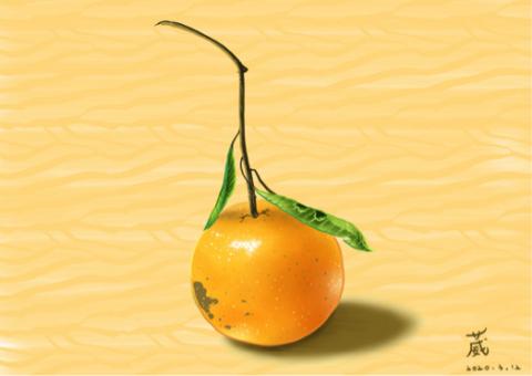 陳葳 - 電繪 畫橘子