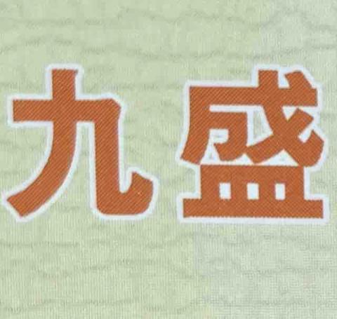 提供力鵬服務的專家九盛開發工程