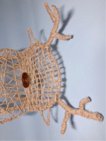 陳葳 - 商品拍攝