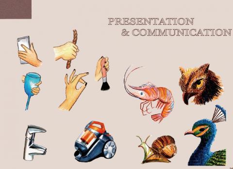 李家荺 - 麥克筆手繪