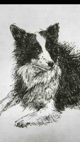 巷口邊邊,繪狗師 - 