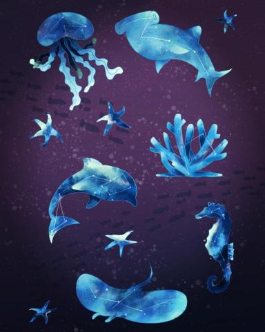 梁哺啾 - 貼紙設計－海洋生物
　每一個海洋生物身上都像星空般璀璨美麗。