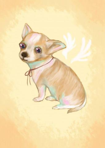 梁哺啾 - 樂樂（厚塗風格）
　樂樂是我們家的吉娃娃，有一天她去當小天使了，我便想把她永遠保留著她最可愛的模樣，於是我把她畫了下來，希望她可以當一個快樂的小天使。