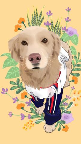 微風工作室 - 電腦繪圖，客制化寵物插圖