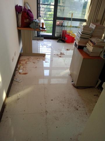 Mia.  米亞  居家清潔 - 清潔前