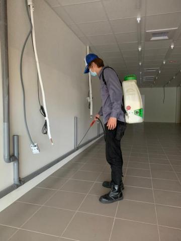 禾家專業除蟲 - 