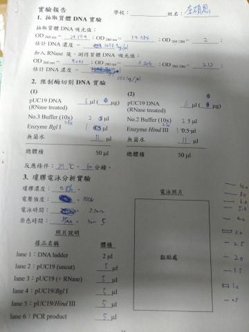 李碩恩 - 高雄大學pcr報告書