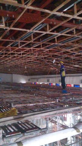 禾家專業除蟲 - 