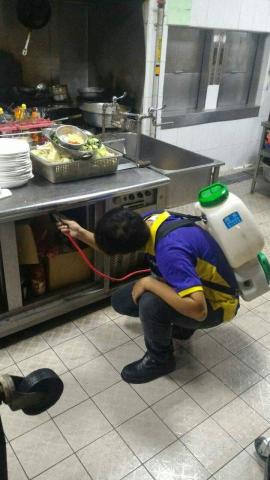 禾家專業除蟲 - 