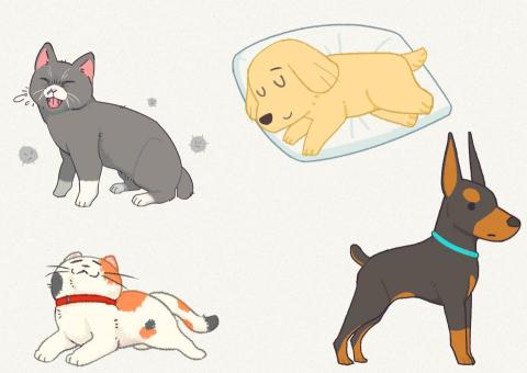 Syo yu - 簡單動物插畫