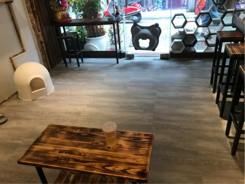 拾玖設計 - 2mm塑膠防焰地磚客人回傳照