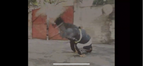 Kana82 - 可以在youtube搜尋 yoku7i 或 royal dance cyut 觀看我所剪的作品